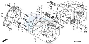 VFR1200FB drawing A.C. GENERATOR COVER