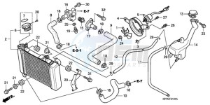 CBR125RWA Australia - (U / WH) drawing RADIATOR (CBR125RW7/RW9/RWA)