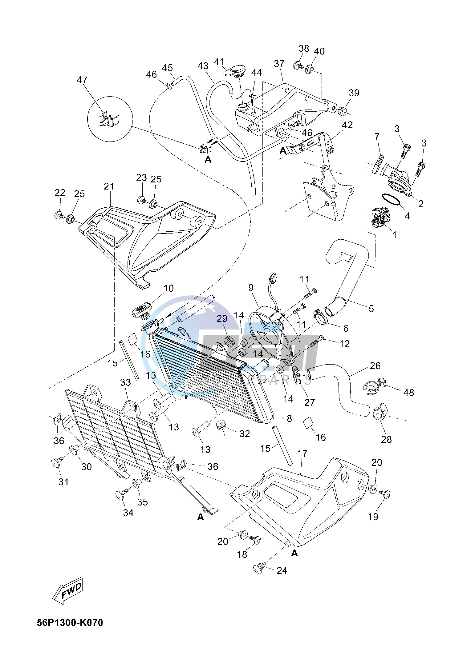 RADIATOR & HOSE