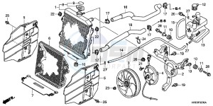 TRX500FED TRX500FE Europe Direct - (ED) drawing RADIATOR