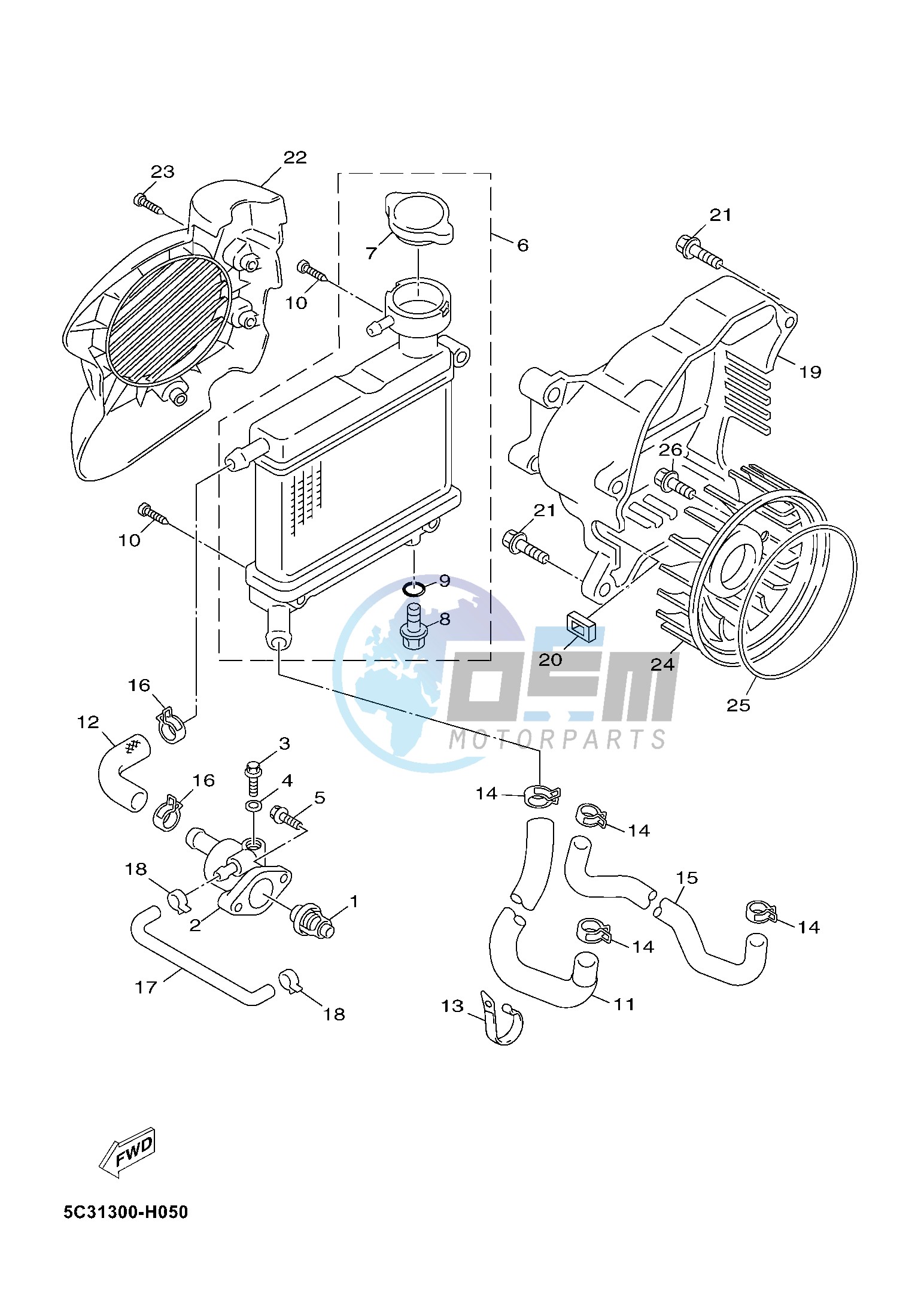 RADIATOR & HOSE