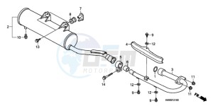 TRX250TEA Europe Direct - (ED / EC) drawing MUFFLER