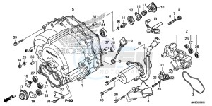 TRX250TEE FOURTRAX RECON ES Europe Direct - (ED) drawing FRONT CRANKCASE COVER (TRX250TE)