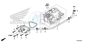 TRX420FM1G TRX420 Europe Direct - (ED) drawing WATER PUMP COVER