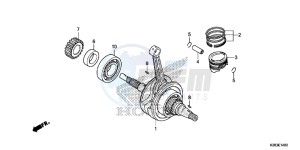 CRF125FE CRF125F Europe Direct - (ED) drawing CRANKSHAFT/PISTON