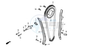 TRX300FW FOURTRAX 300 4X4 drawing CAM CHAIN