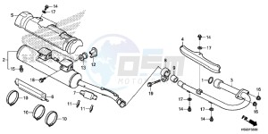 TRX250TMH Europe Direct - (ED) drawing MUFFLER