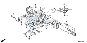 TRX420FA2F TRX420 Europe Direct - (ED) drawing SWINGARM