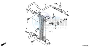 TRX500FA9 Australia - (U) drawing OIL COOLER