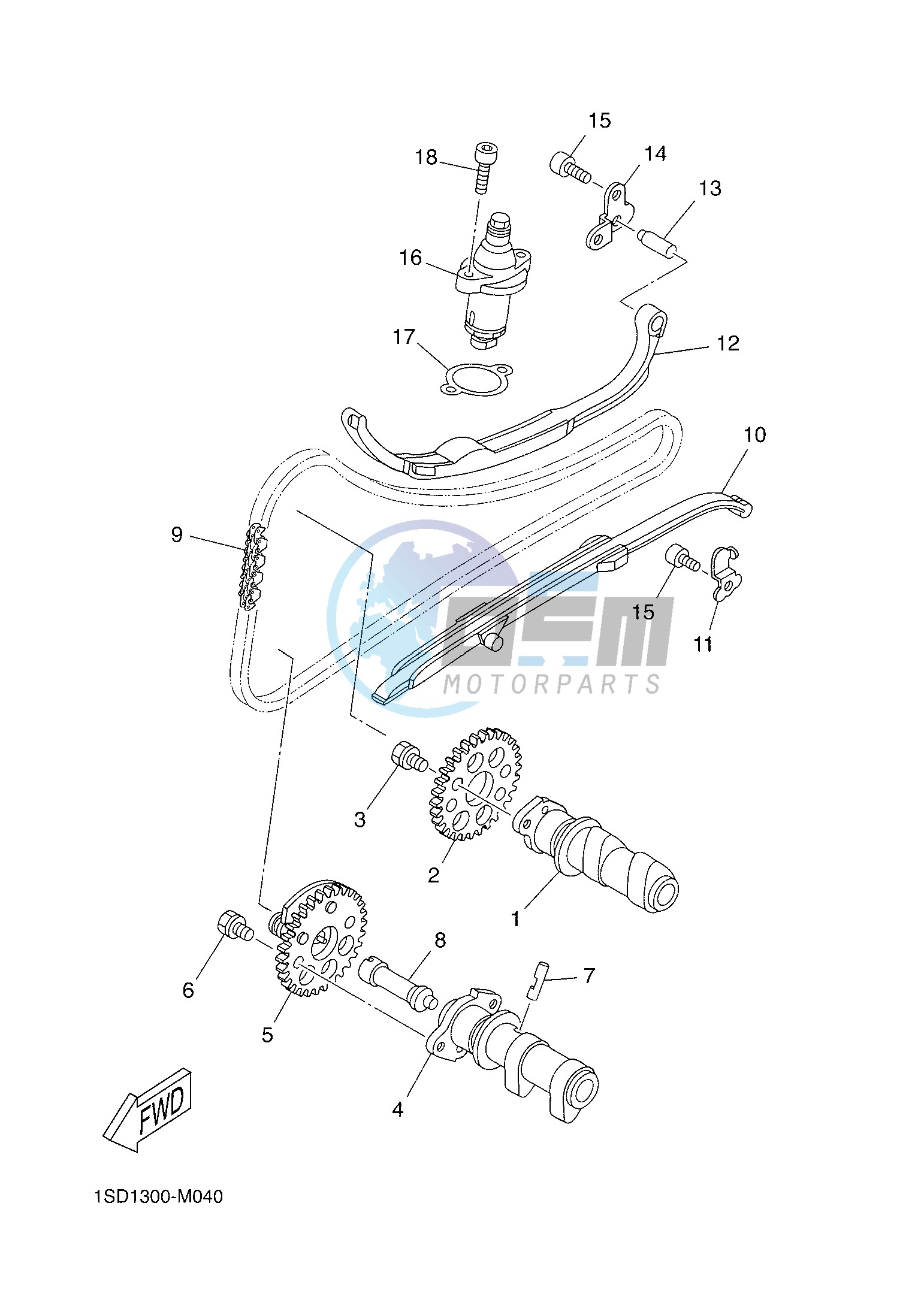 CAMSHAFT & CHAIN