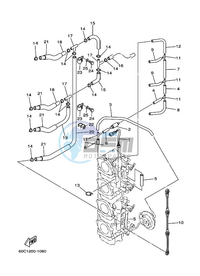 CARBURETOR-2