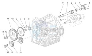 Griso V 8V 1200 drawing Timing system