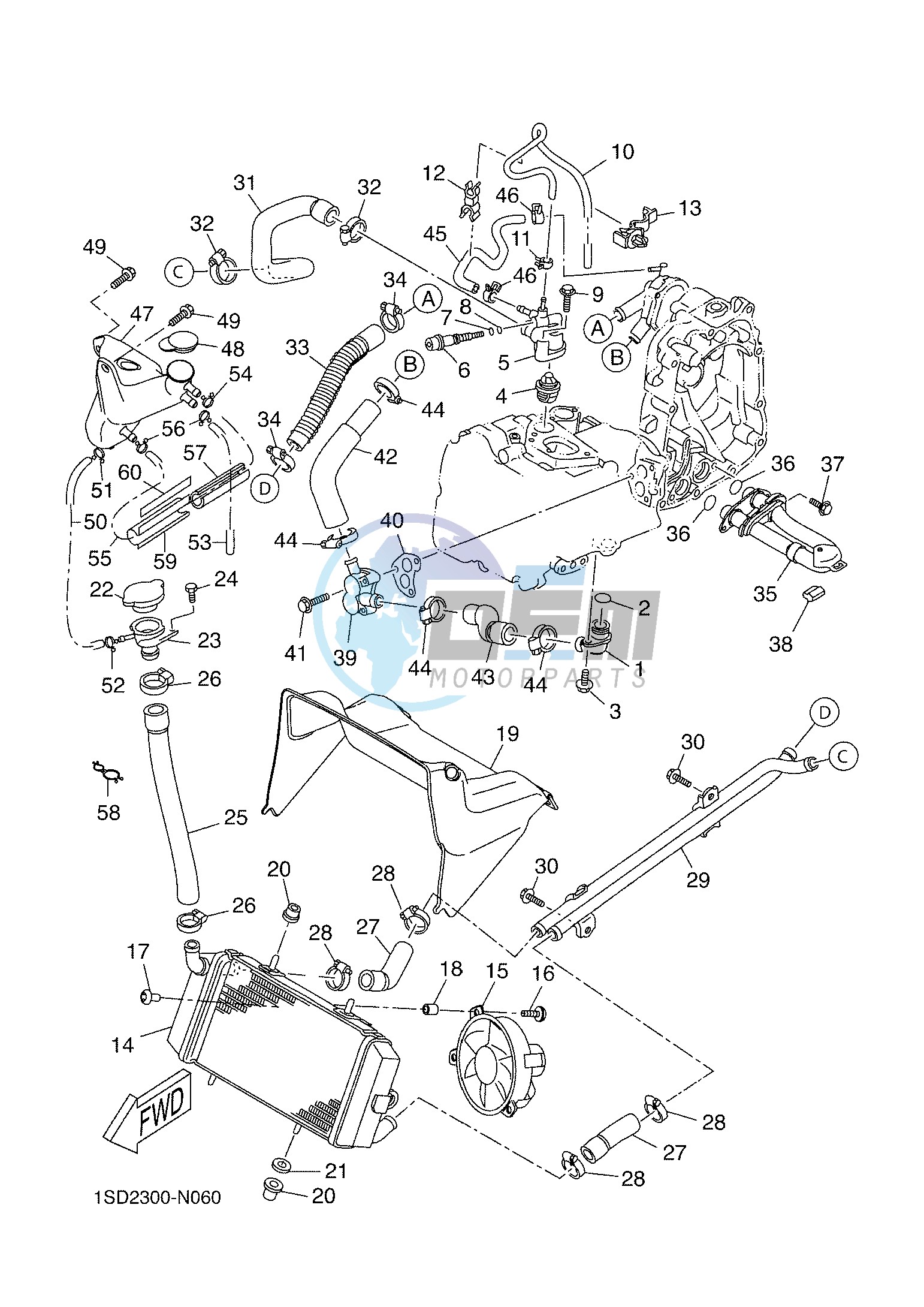 RADIATOR & HOSE