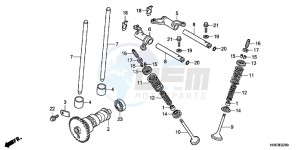 TRX500FEC drawing CAMSHAFT/ VALVE