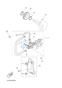 NS50N NITRO NAKED (1PL6 1PL6) drawing OIL PUMP