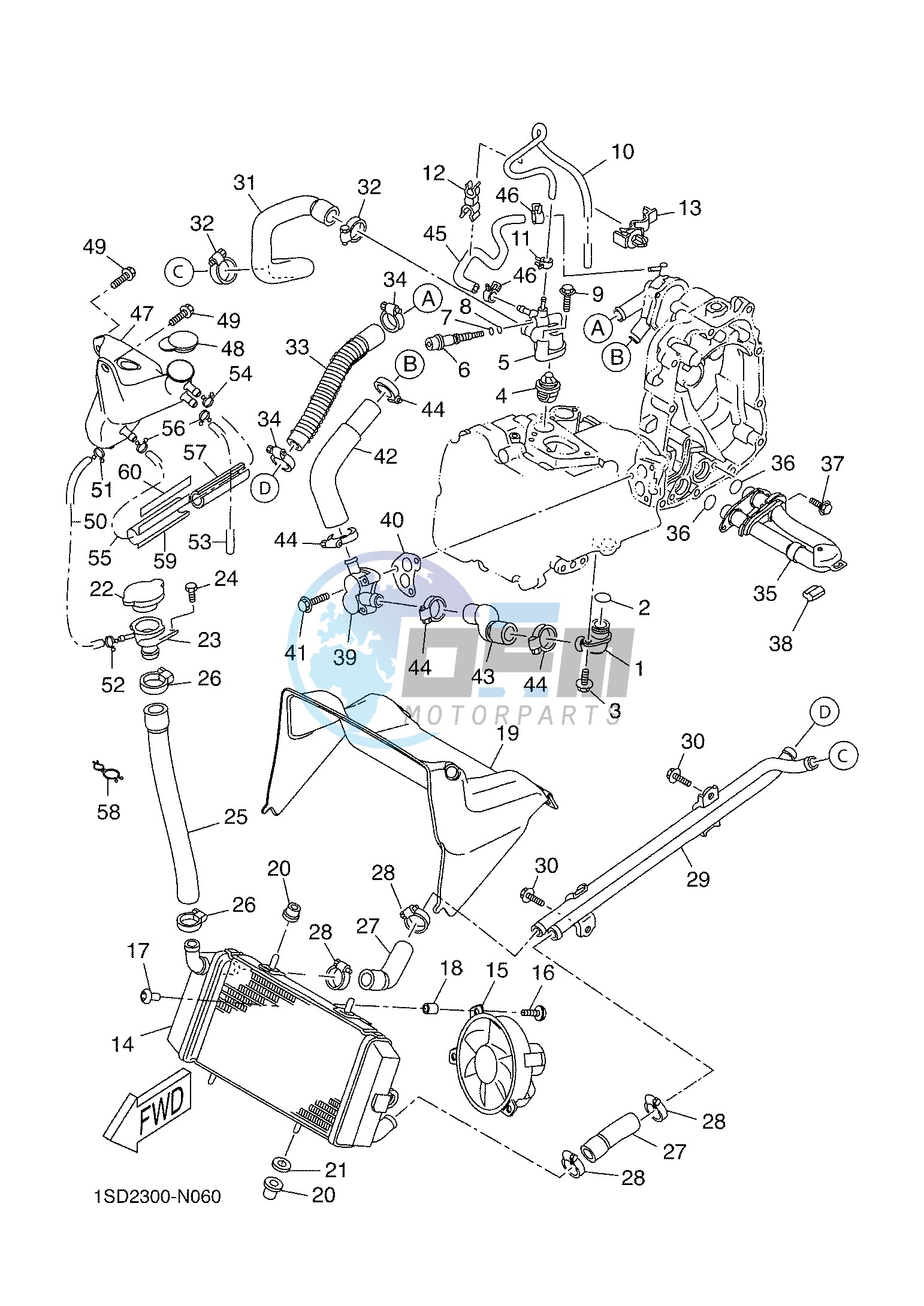 RADIATOR & HOSE