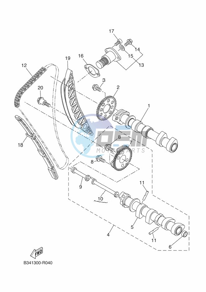 CAMSHAFT & CHAIN