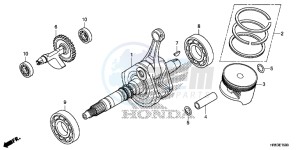 TRX500FM5F TRX500FM Europe Direct - (ED) drawing CRANKSHAFT/PISTON