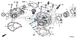 TRX420FA6F TRX420F Australia - (U) drawing CYLINDER HEAD