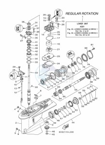 F250DETX drawing PROPELLER-HOUSING-AND-TRANSMISSION-1