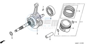 TRX250TM9 Australia - (U) drawing CRANKSHAFT/PISTON