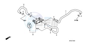 CBF1000AA Europe Direct - (ED / ABS) drawing AIR INJECTION CONTROL VALVE