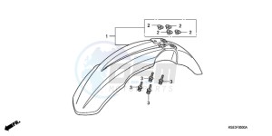 CRF150RB9 Europe Direct - (ED / T19) drawing FRONT FENDER