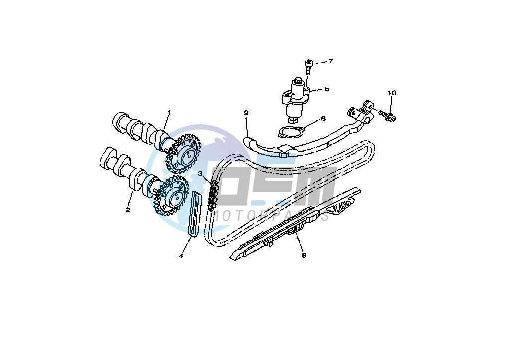 CAMSHAFT - CHAIN