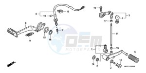 CB600FA9 France - (F / ABS CMF 25K) drawing PEDAL