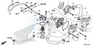 VFR1200X Europe Direct - (ED) drawing WATER PUMP