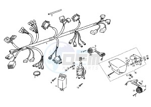 VARIANT REVOLUTION - 50 cc drawing WIRING HARNESS