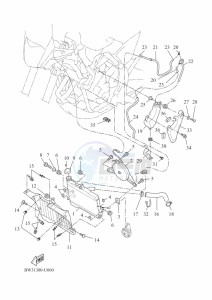 XTZ690 TENERE 700 (BW31) drawing RADIATOR & HOSE