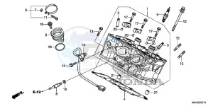 VFR1200XDD CrossTourer - VFR1200X Dual Clutch 2ED - (2ED) drawing CYLINDER HEAD (REAR)