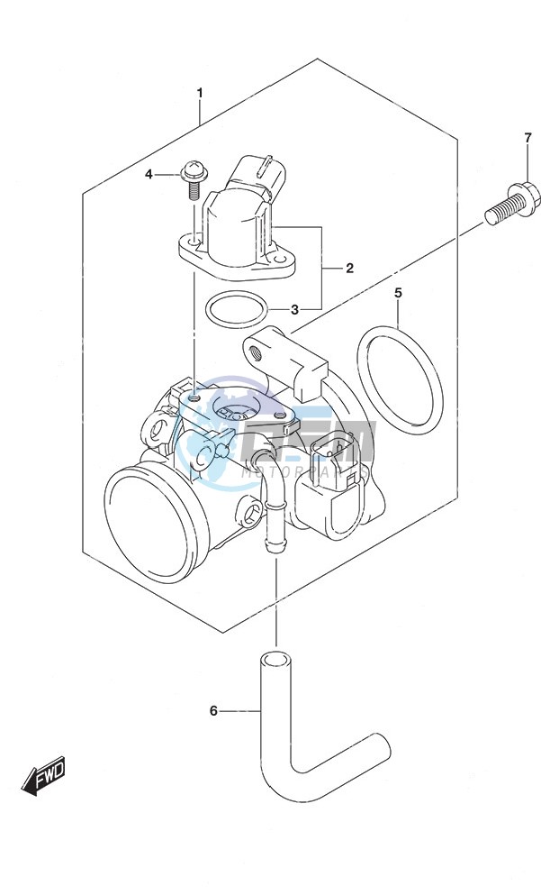 Throttle Body Remote Control