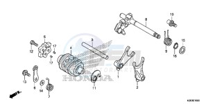 CRF125FE CRF125F Europe Direct - (ED) drawing GEARSHIFT DRUM