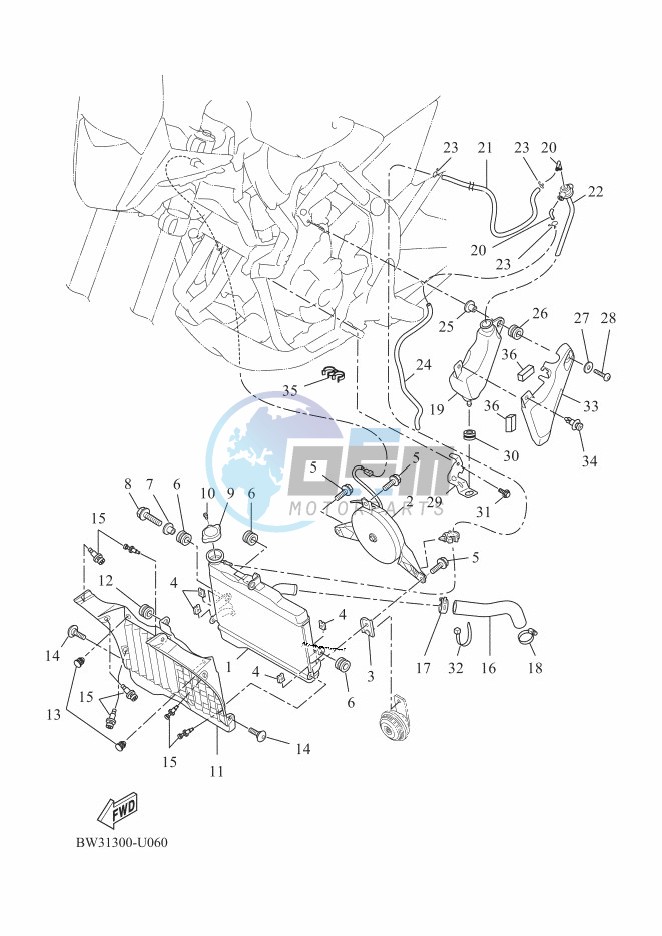 RADIATOR & HOSE