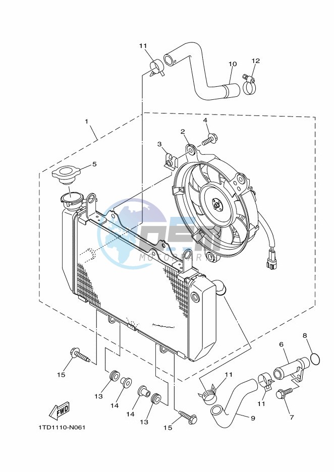 RADIATOR & HOSE