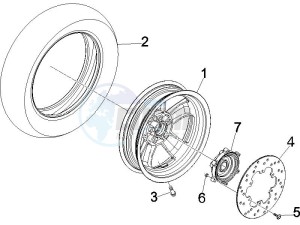 GTS 250 USA drawing Rear Wheel