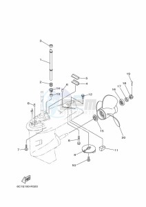 F50HEDL drawing LOWER-CASING-x-DRIVE-2