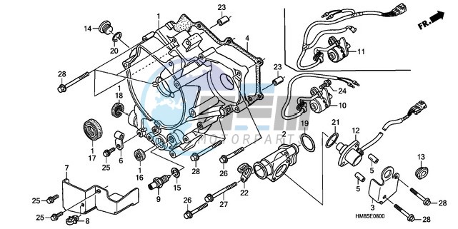 REAR CRANKCASE COVER