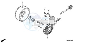 CBR125RW9 Germany - (G / WH) drawing GENERATOR