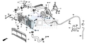 CBF600NA drawing RADIATOR (CB600N6/NA6)