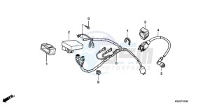 CRF80F9 Mexico - (MX) drawing WIRE HARNESS