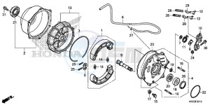 TRX420FA2E TRX420 Europe Direct - (ED) drawing REAR BRAKE PANEL