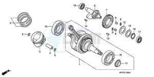 CBR125RWA UK - (E / BLA) drawing CRANK SHAFT/PISTON