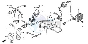 TRX300 FOURTRAX drawing WIRE HARNESS