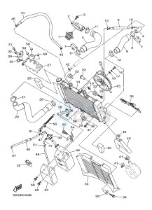 XJ6S 600 DIVERSION (S-TYPE) (36CC 36CE) drawing RADIATOR & HOSE