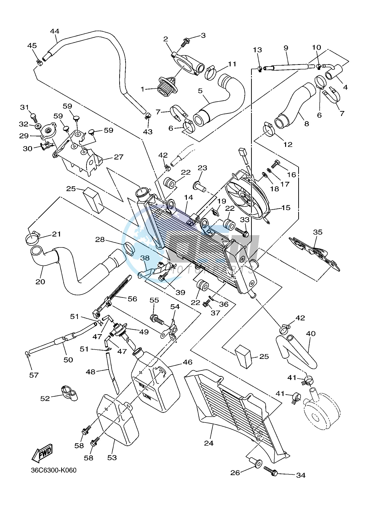 RADIATOR & HOSE