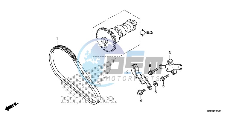 CAM CHAIN/TENSIONER