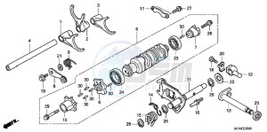 GL1800C drawing GEARSHIFT DRUM/ SHIFT FORK